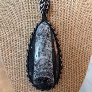 Orthoceres Fossil Pendant Necklace